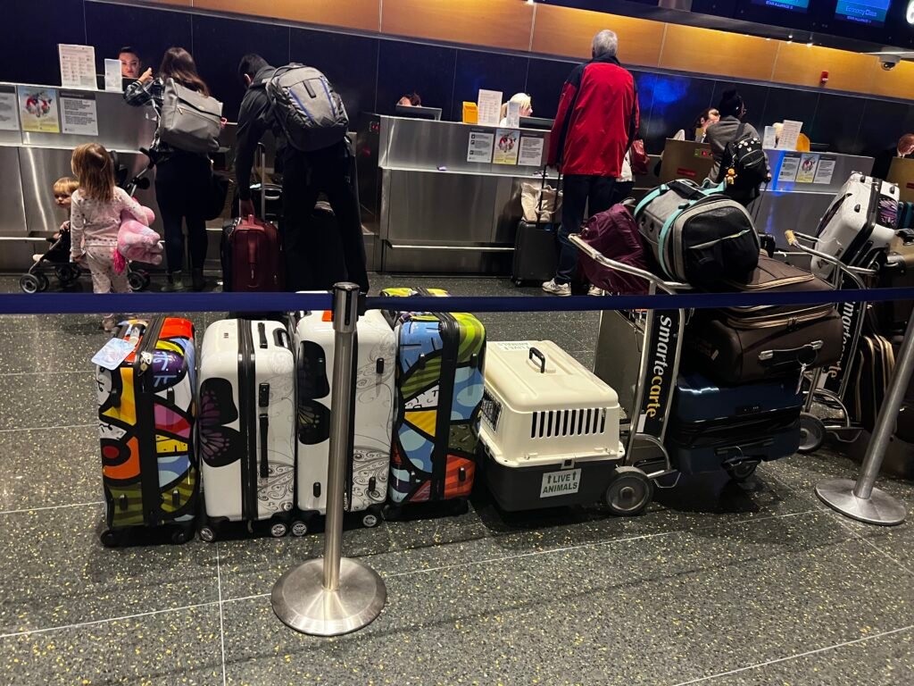 Tiffany's bags and cats lined up waiting to be checked in at Boston Logan International Airport.