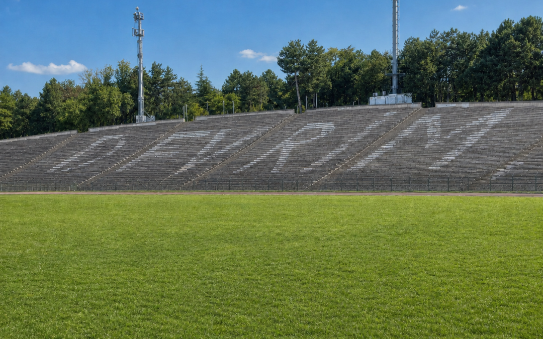 Hocam: The Turkish Word That Taught Me About Revolution, Respect, and Really Cool Campus History