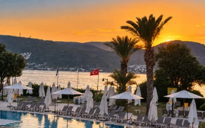 Five Nights in Bodrum: Cats, Cocktails, the Aegean, and an Accidental Birthday