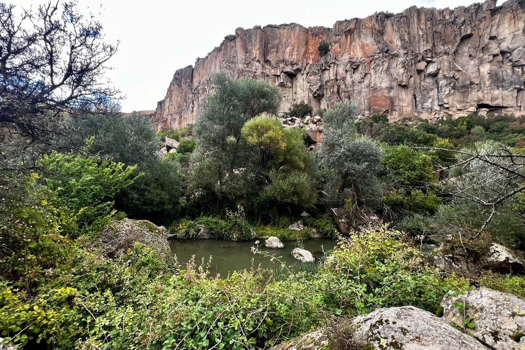 Melendiz River flowing among rocks and lush green trees beneath the steep canyon cliffs of Ihlara Valley, Türkiye.