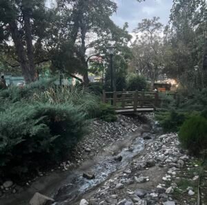 Rock-lined stream flowing through greenery beneath a small wooden bridge at Kuğulu Park in Ankara.