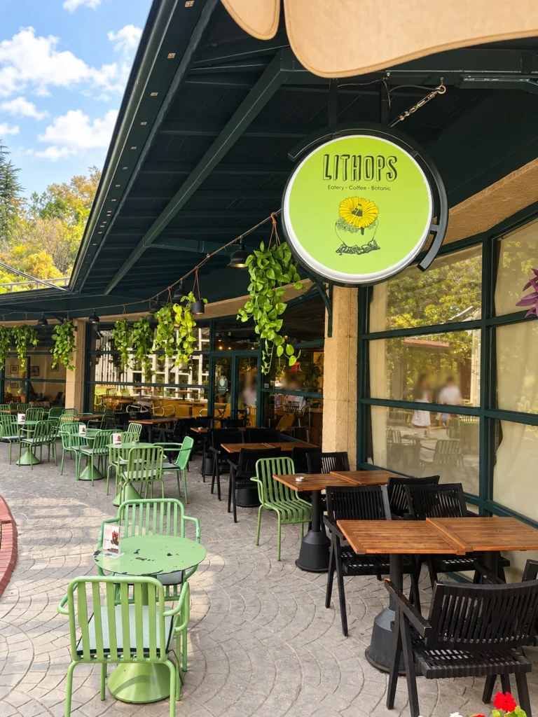 A round Lithops café sign hangs above green chairs, wooden tables, and trailing plants.