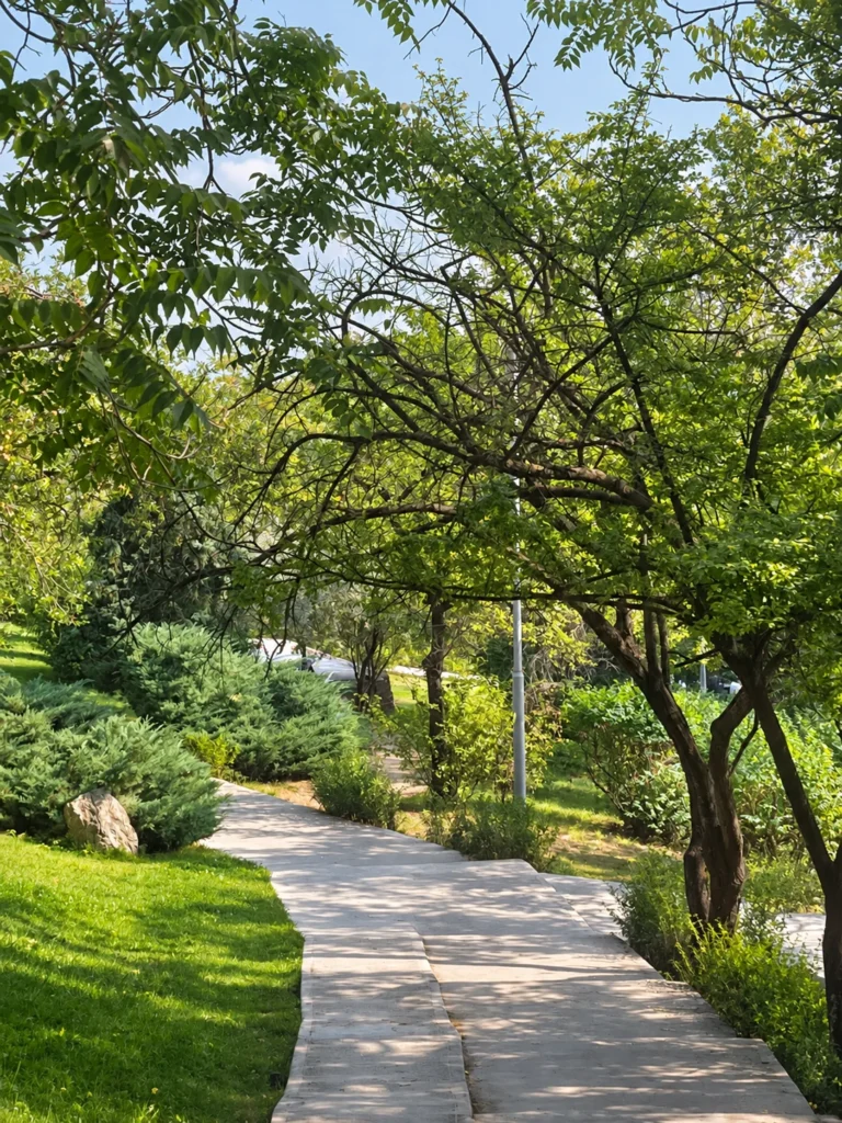 A pale paved path curves downhill beneath leafy branches and beside green lawns in Botanik Parkı.