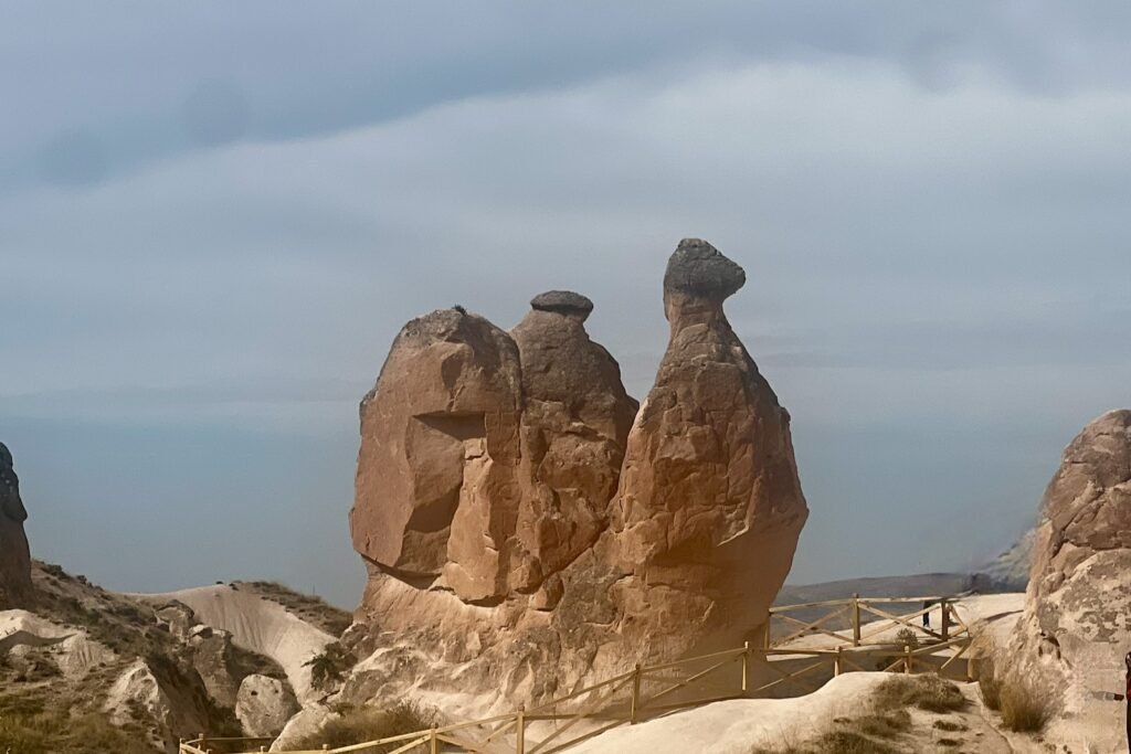 Camel-shaped rock formation in Devrent Valley, Cappadocia, Türkiye.