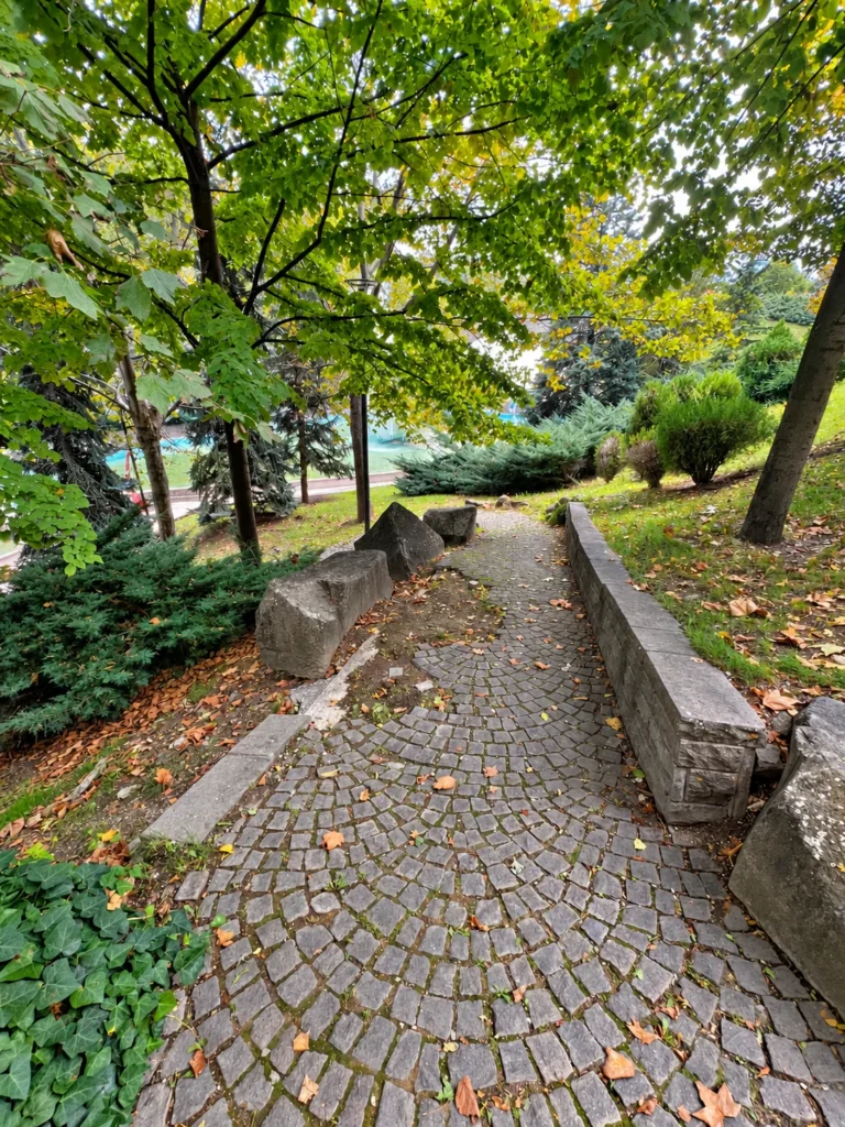 Leaf-strewn cobbled path descending between rocks, a stone wall, and leafy trees in Dikmen Vadisi.