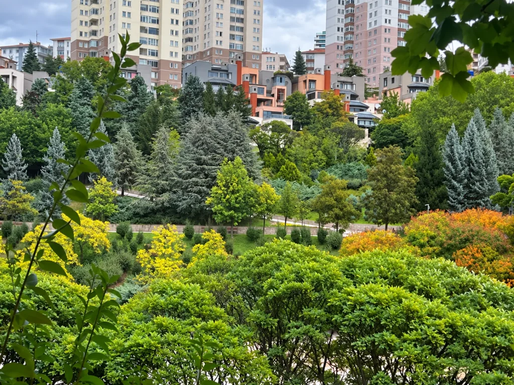 Layers of green and silver-blue trees below apartment buildings in Dikmen Vadisi.