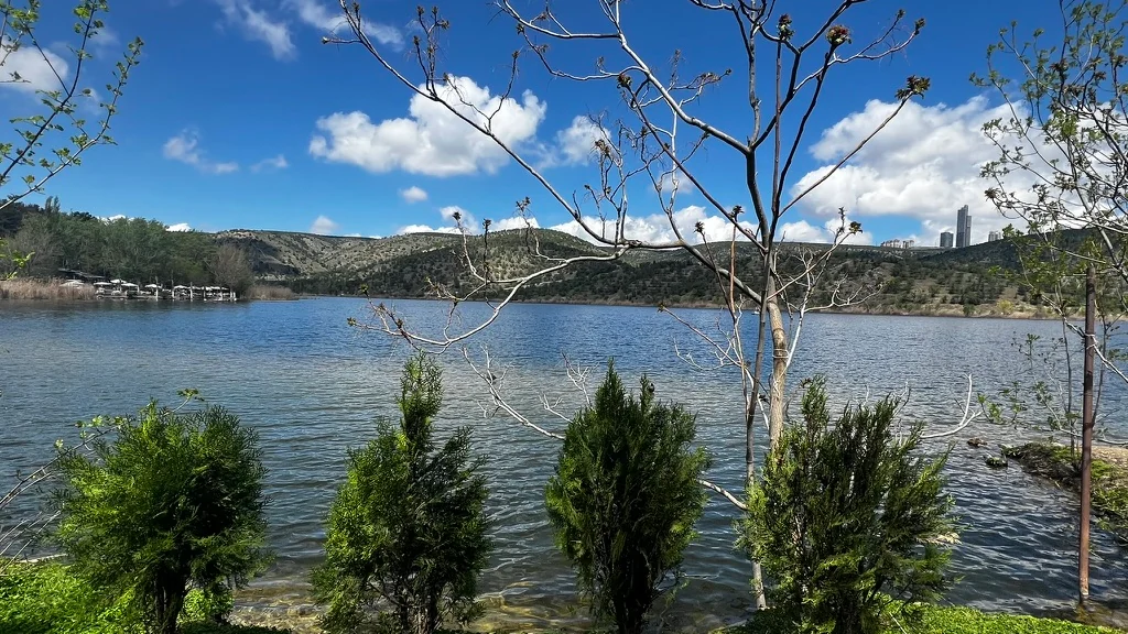 Lake Eymir stretches beyond shoreline shrubs and slender trees, with hills and white clouds under a blue sky.
