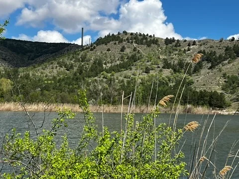 Reeds and leafy shrubs grow beside Lake Eymir, with a dry, scattered-tree hillside across the water.