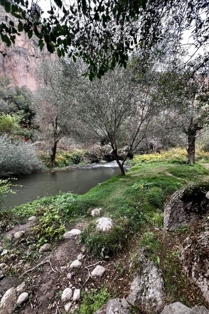 Melendiz River flowing through green trees beneath the canyon walls of Ihlara Valley, Türkiye.
